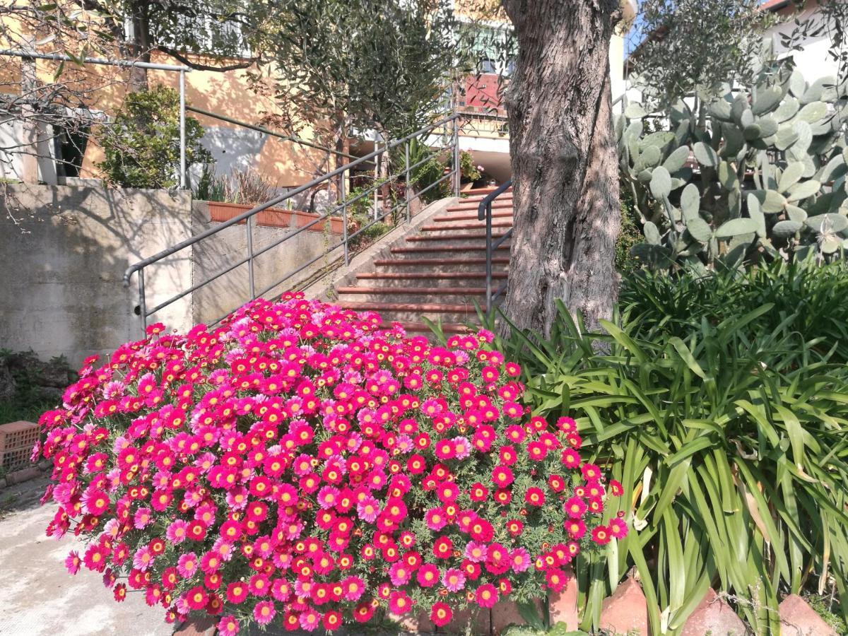 B&B Bellavista Savona Exterior photo