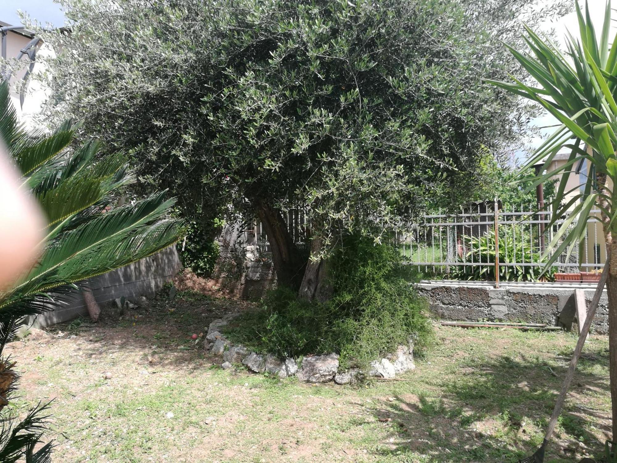 B&B Bellavista Savona Exterior photo